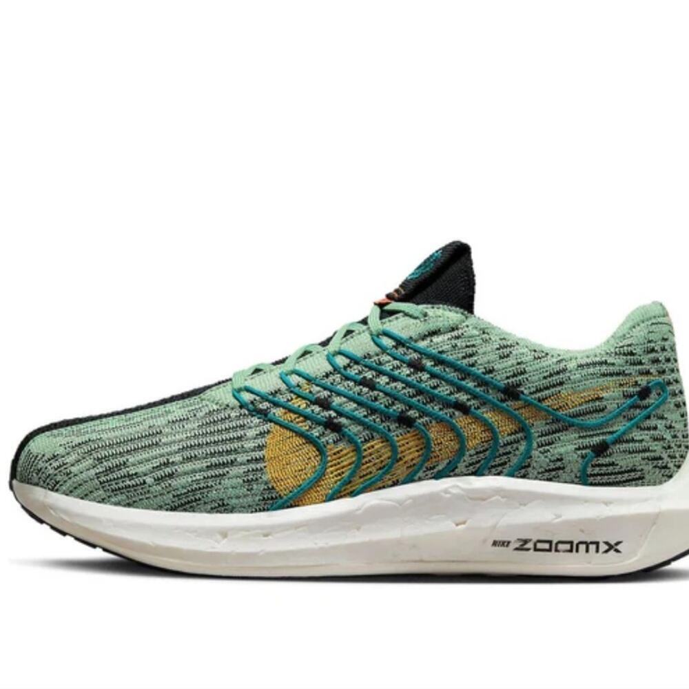 Nike Pegasus Turbo Next Nature Five Brorough Tour Sz 10.5